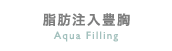 脂肪注入豊胸
