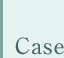 Case