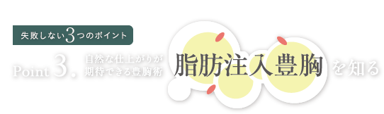 失敗しない3つのポイント point3. 自然な仕上がりが期待できる豊胸術 脂肪注入豊胸を知る
