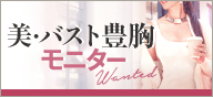 美・バスト 豊胸モニター